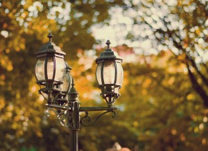 vintage style picture with old street lamp in the park